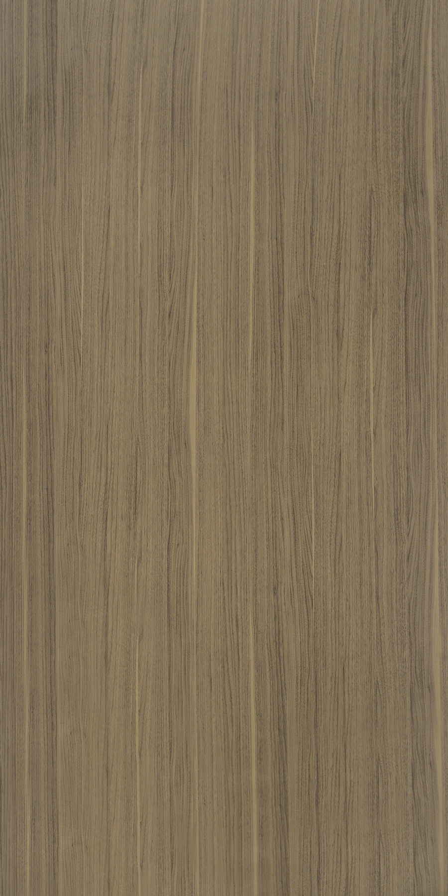 Walnut Warmth